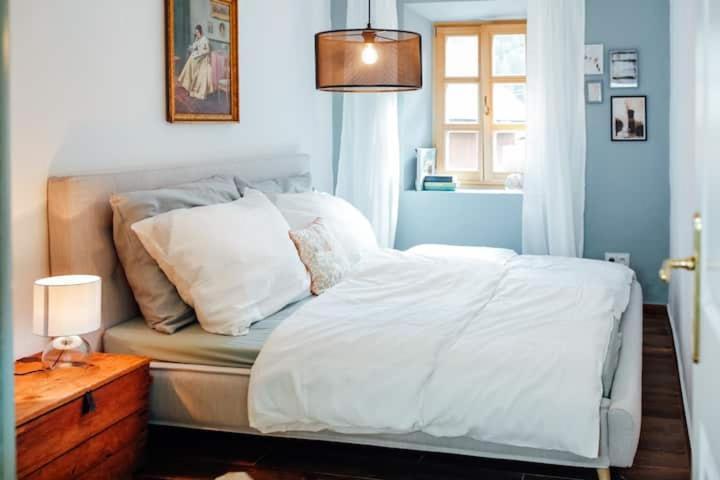 Apartment Aussee- Beletage Salzherrenhof- Kueche, Wlan, Netflix Bad Aussee Ngoại thất bức ảnh