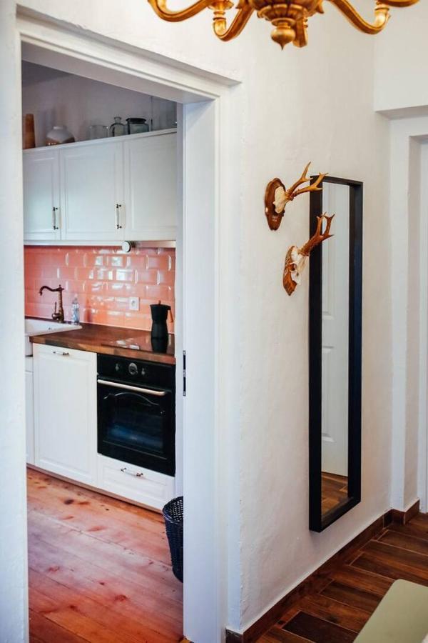 Apartment Aussee- Beletage Salzherrenhof- Kueche, Wlan, Netflix Bad Aussee Ngoại thất bức ảnh